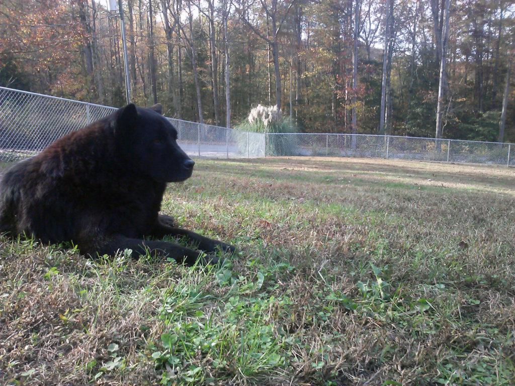 CAM00563
